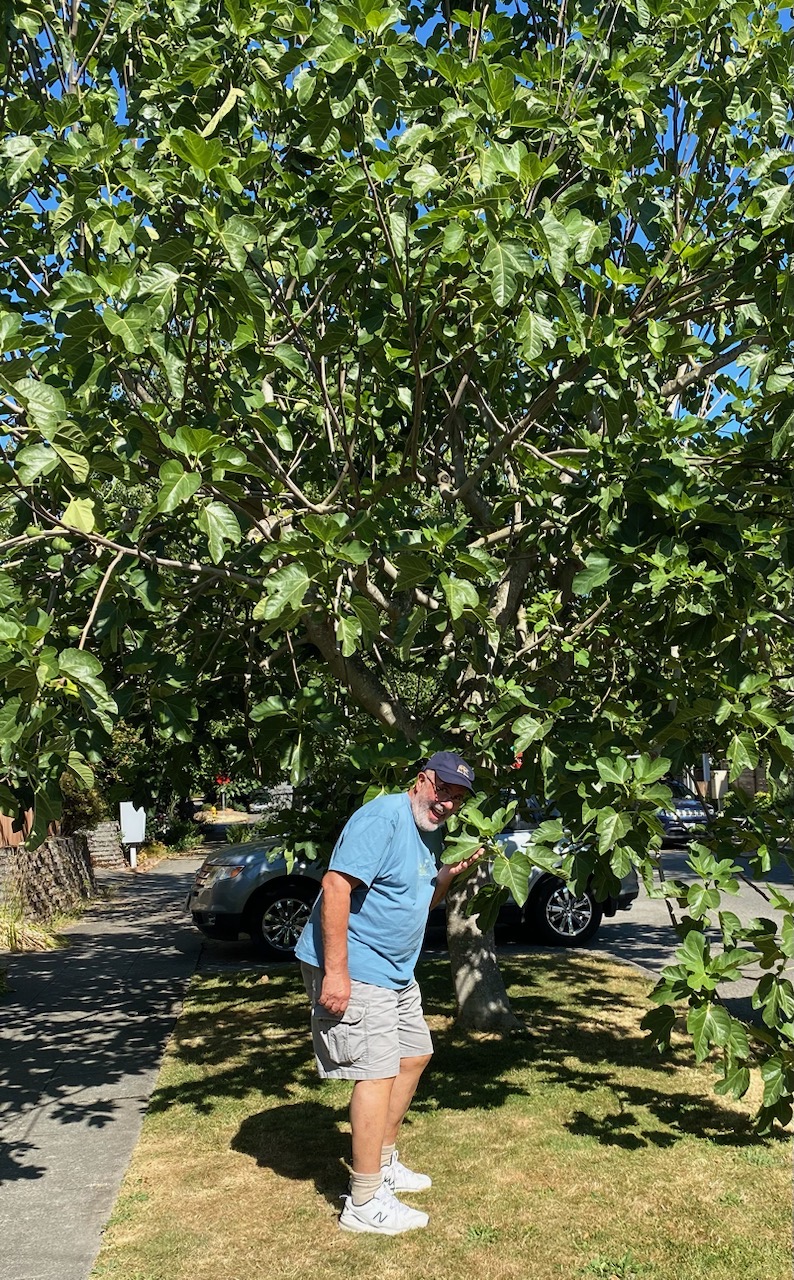 Evan Under a Fig Tree in Seattle