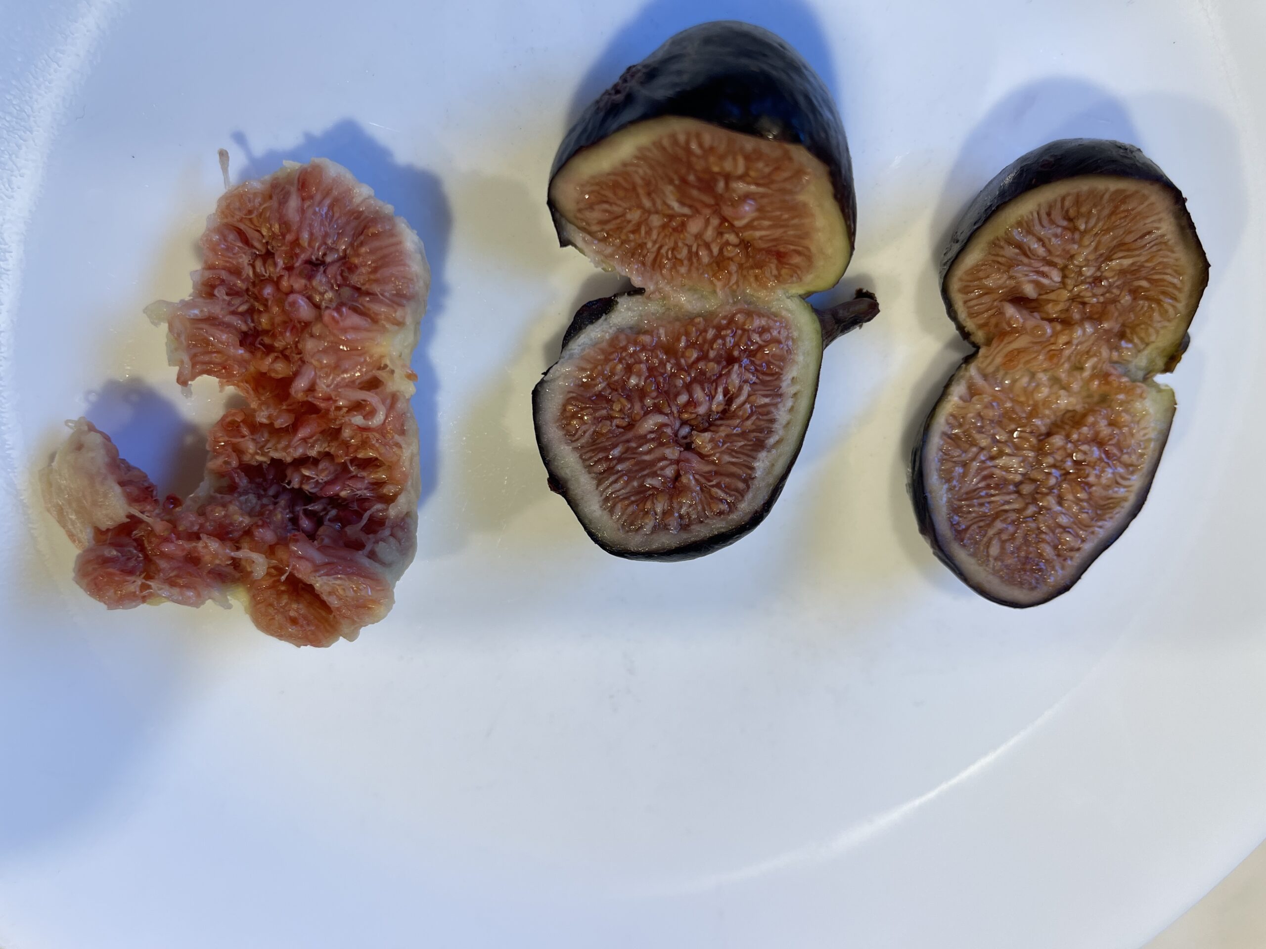 When the Fig Gods Smile at the Supermarket