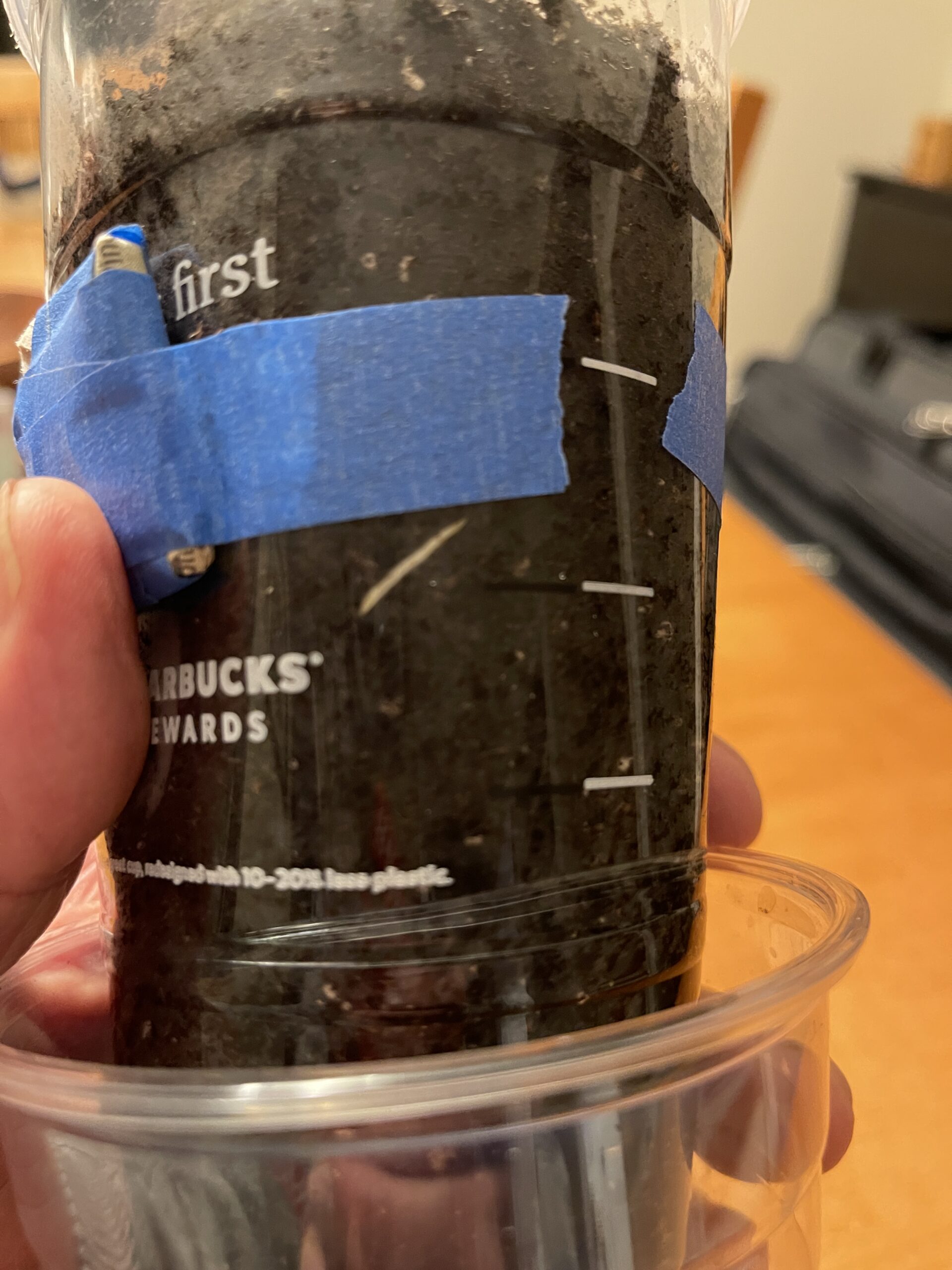 Fixing a Waterlogged, Rooted Fig Cutting