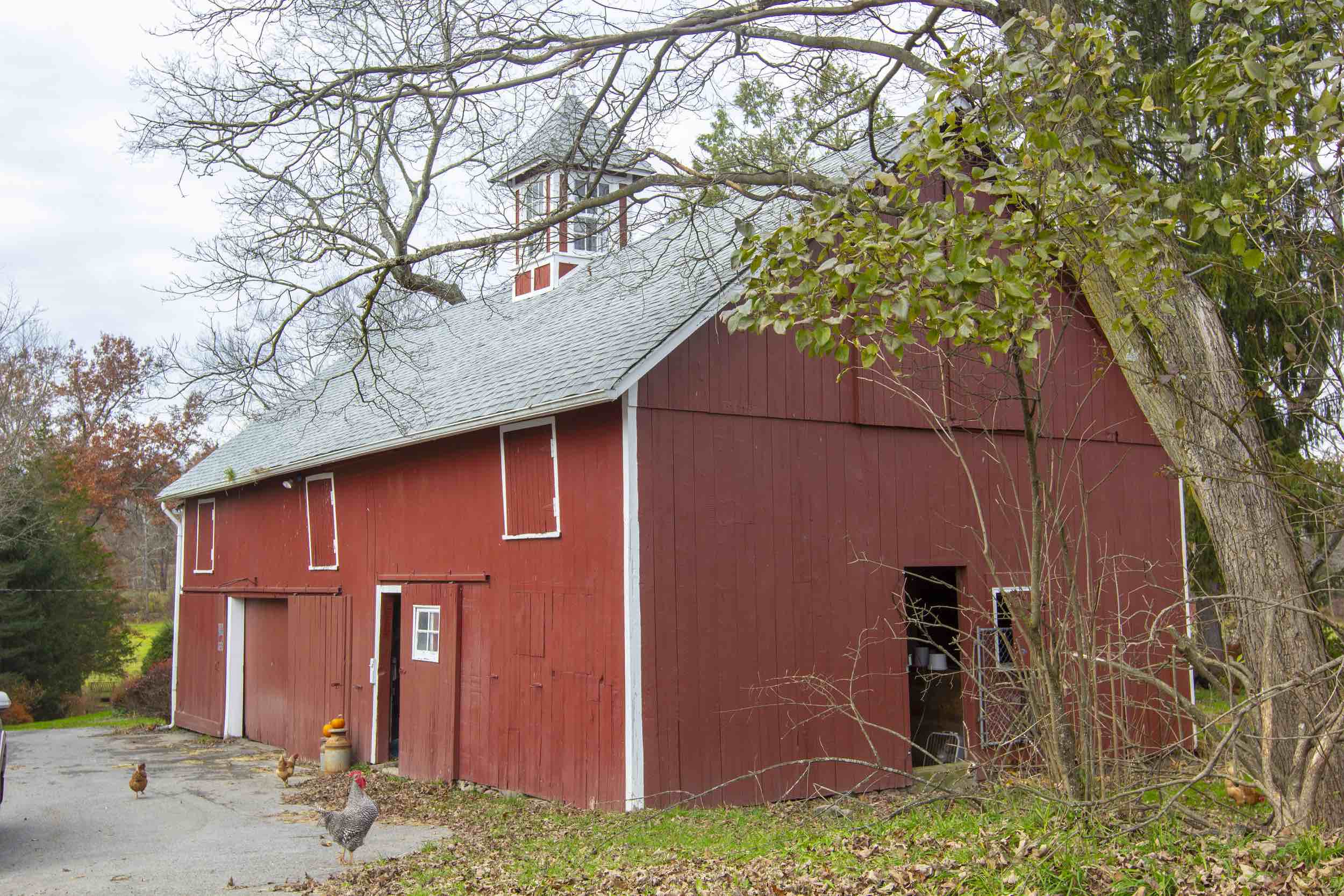 5/30/26 – Fig Tree Clinic Hosted at Colden Springs Farm