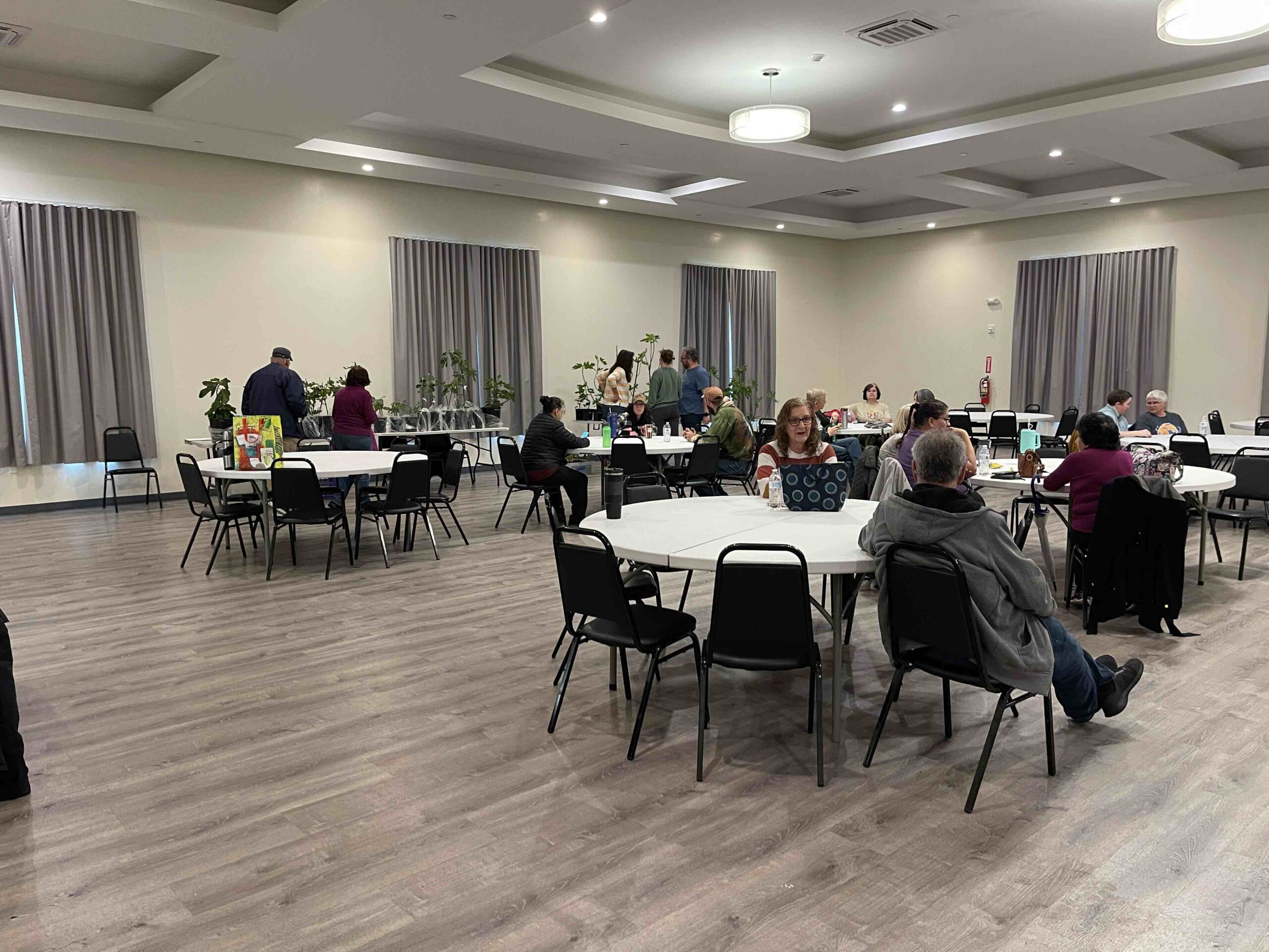 Debriefing: Fig Tree Learning Exchange